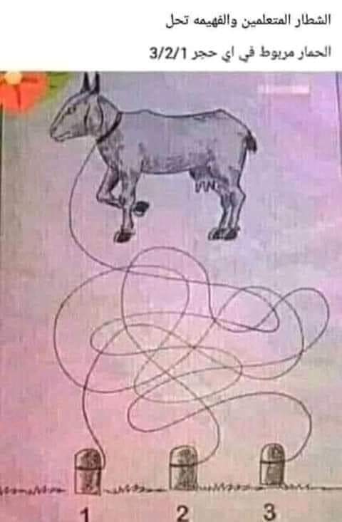 نقره لعرض الصورة في صفحة مستقلة