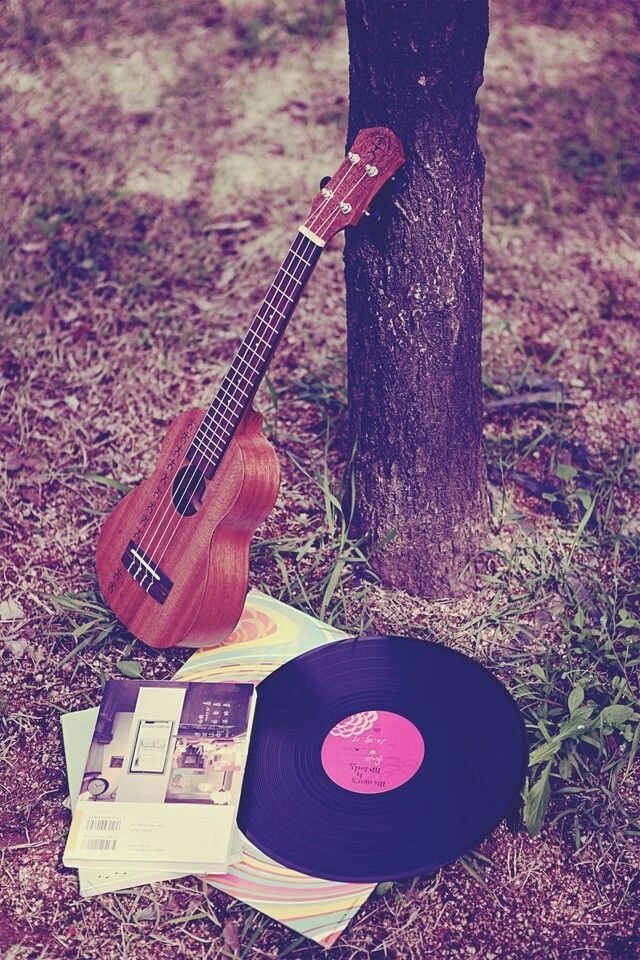 ���� ���� ������ �� ���� ������