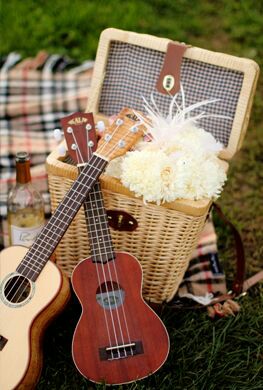 ���� ���� ������ �� ���� ������