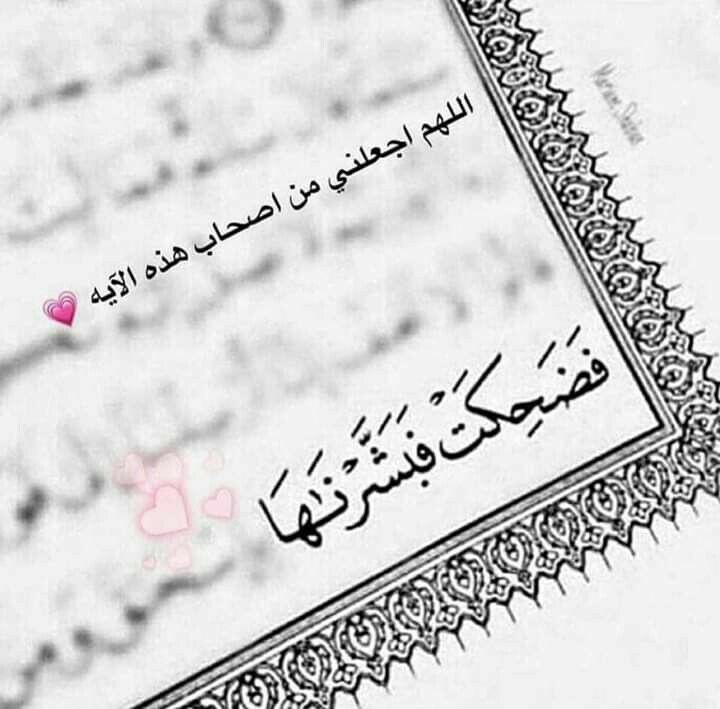 ���� ���� ������ �� ���� ������