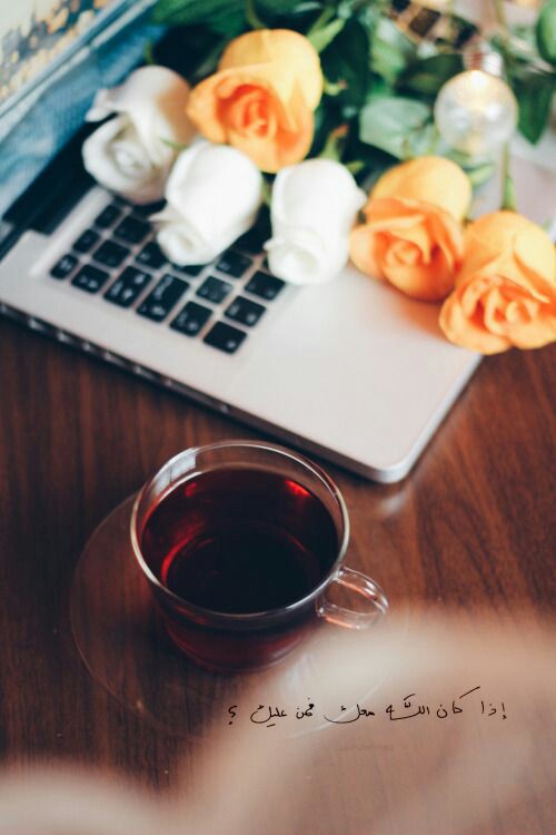 ���� ���� ������ �� ���� ������