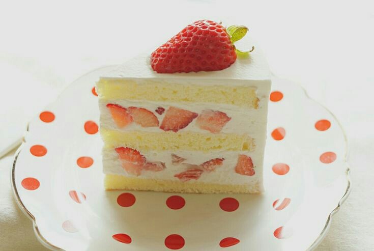 ���� ���� ������ �� ���� ������