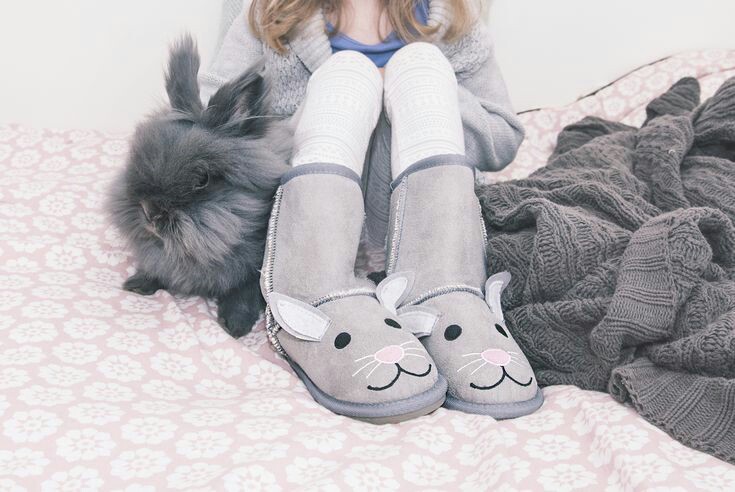 ���� ���� ������ �� ���� ������