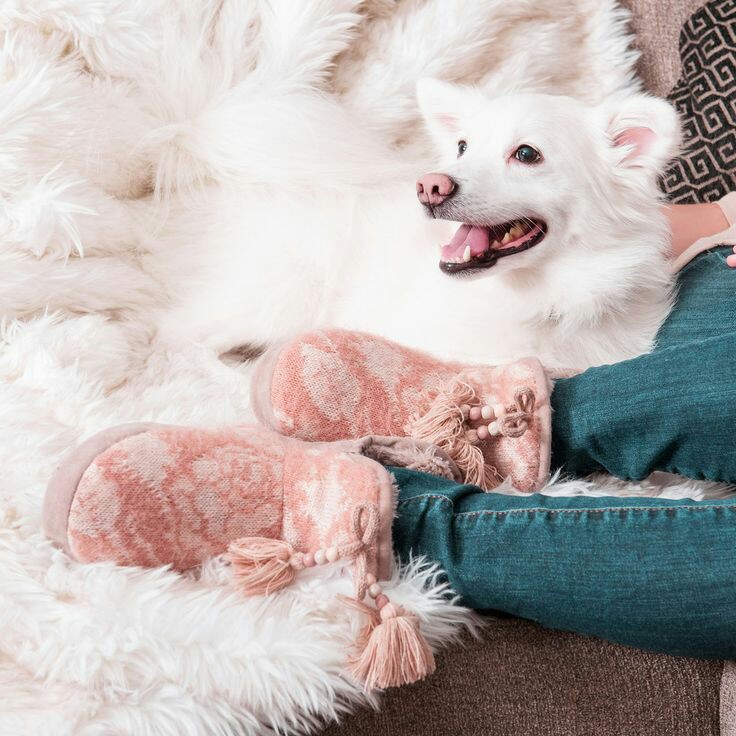 ���� ���� ������ �� ���� ������