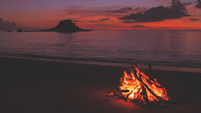 ���� ���� ������ �� ���� ������