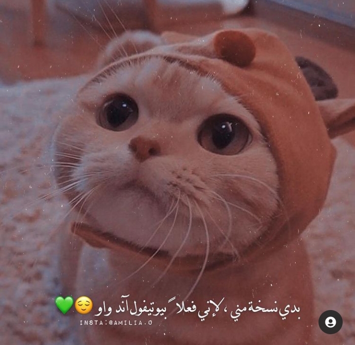 ���� ���� ������ �� ���� ������