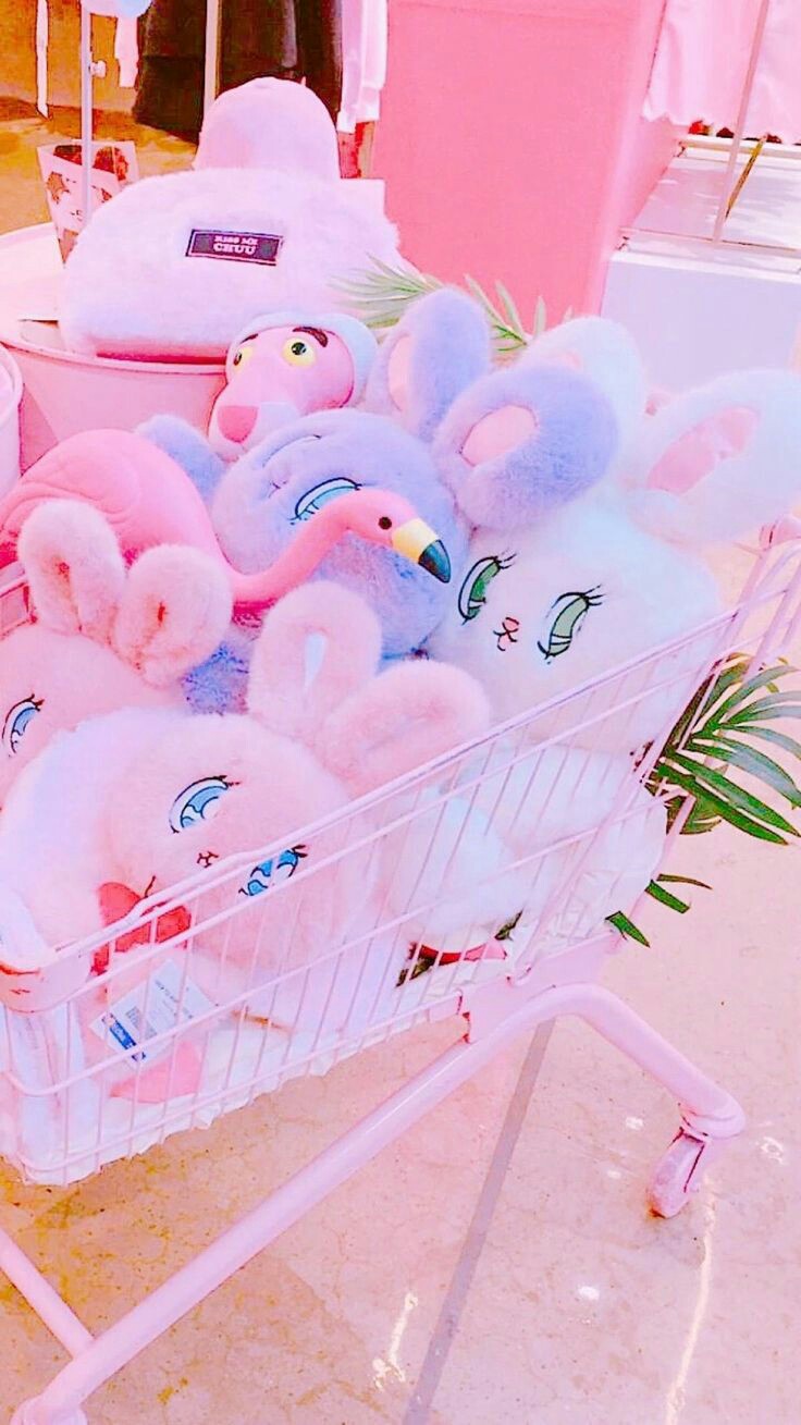 ���� ���� ������ �� ���� ������