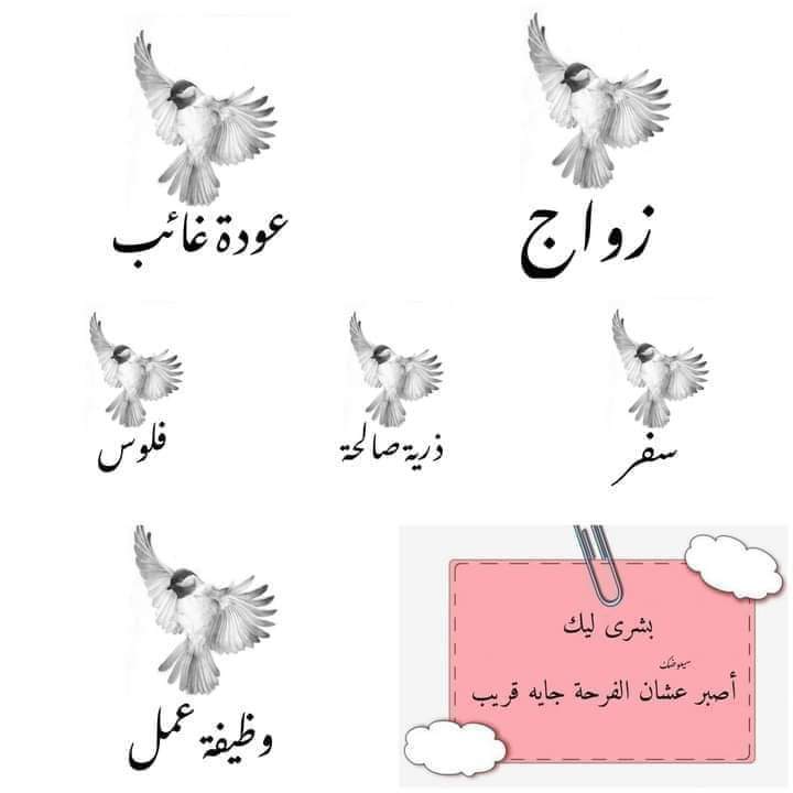 نقره لعرض الصورة في صفحة مستقلة