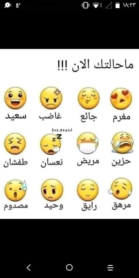 نقره لعرض الصورة في صفحة مستقلة