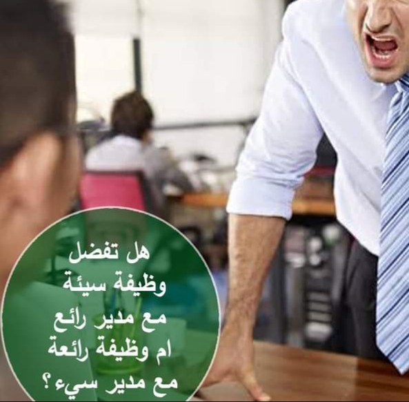 نقره لعرض الصورة في صفحة مستقلة