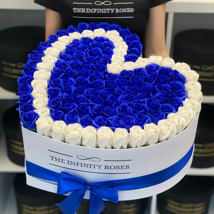 ���� ���� ������ �� ���� ������