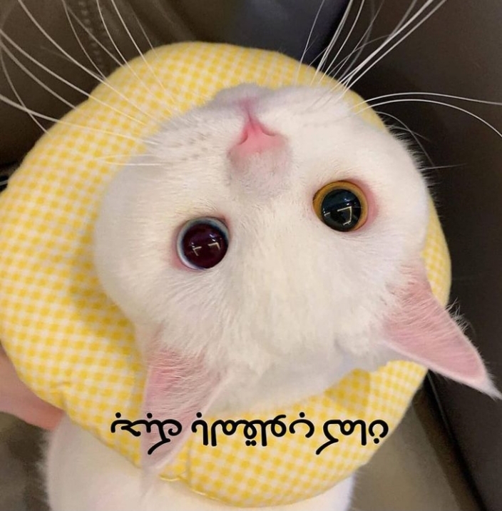 ���� ���� ������ �� ���� ������