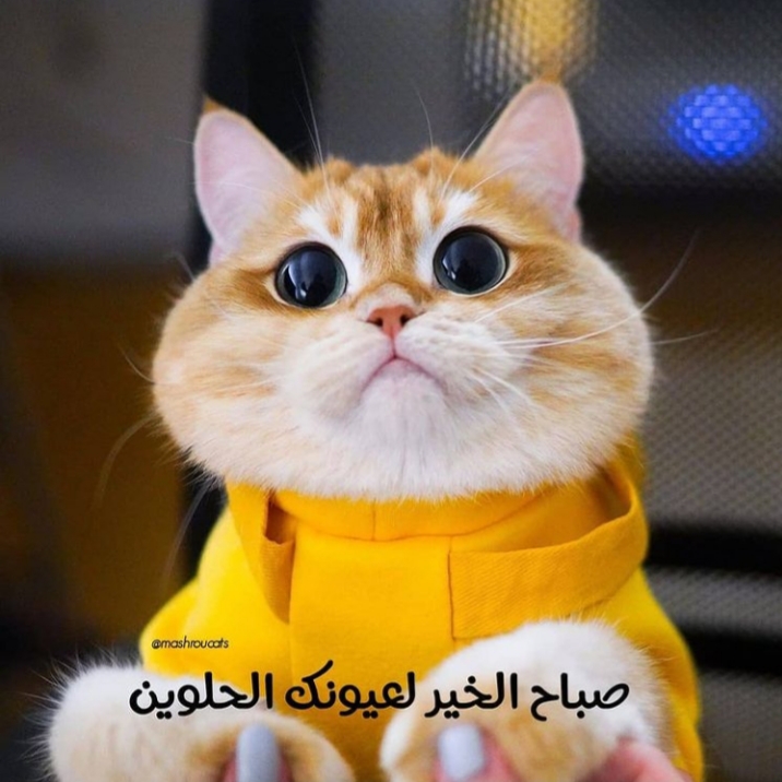 ���� ���� ������ �� ���� ������