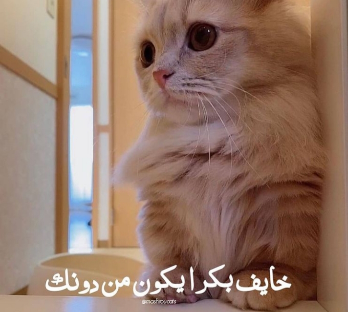 ���� ���� ������ �� ���� ������