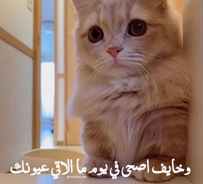 ���� ���� ������ �� ���� ������