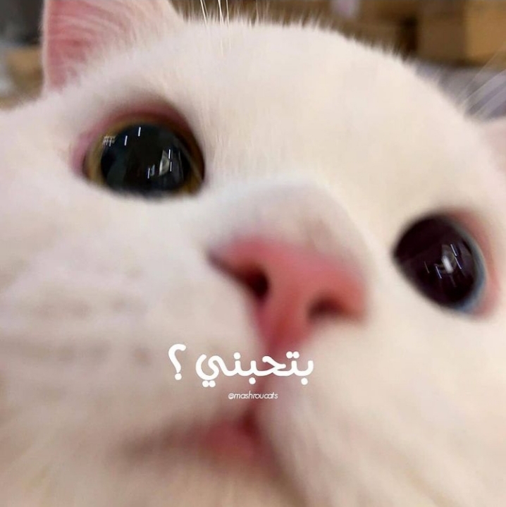 ���� ���� ������ �� ���� ������