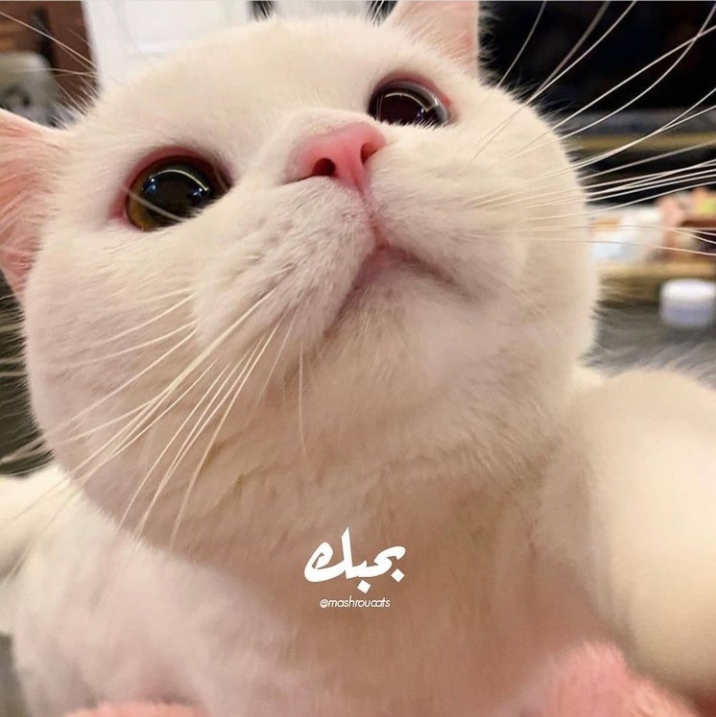 ���� ���� ������ �� ���� ������