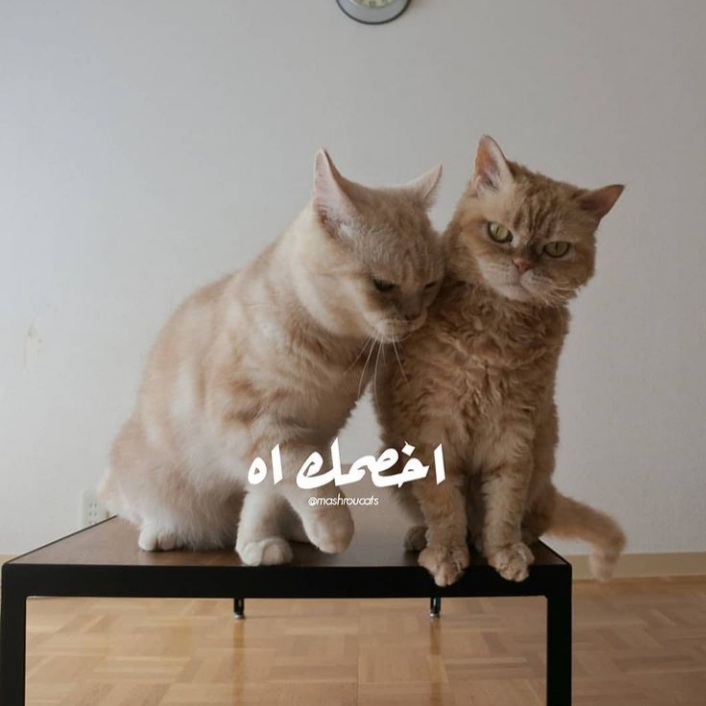 ���� ���� ������ �� ���� ������