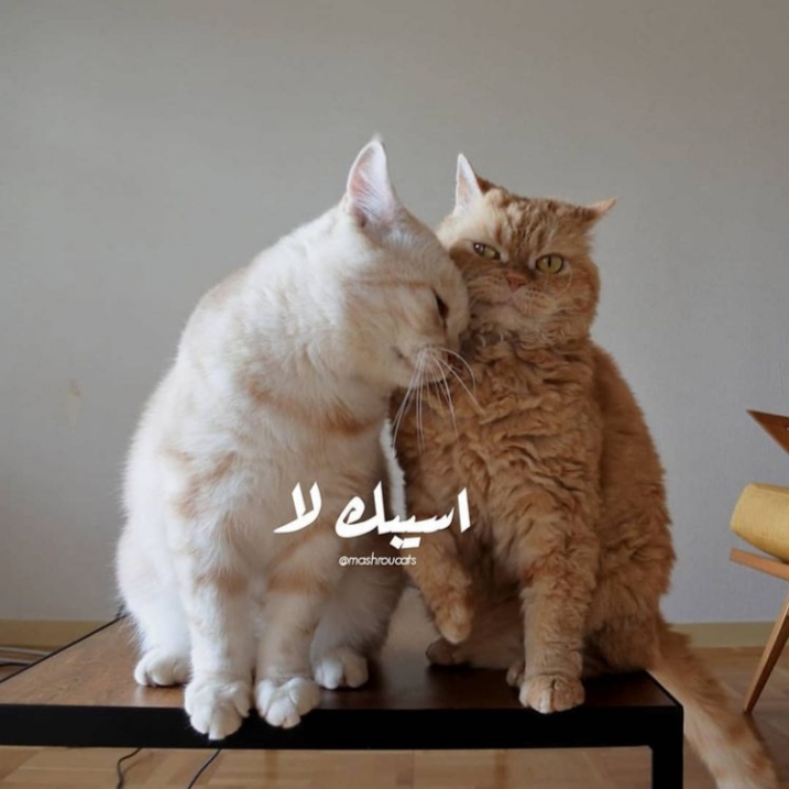 ���� ���� ������ �� ���� ������