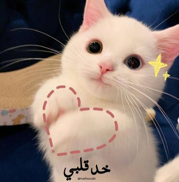 ���� ���� ������ �� ���� ������