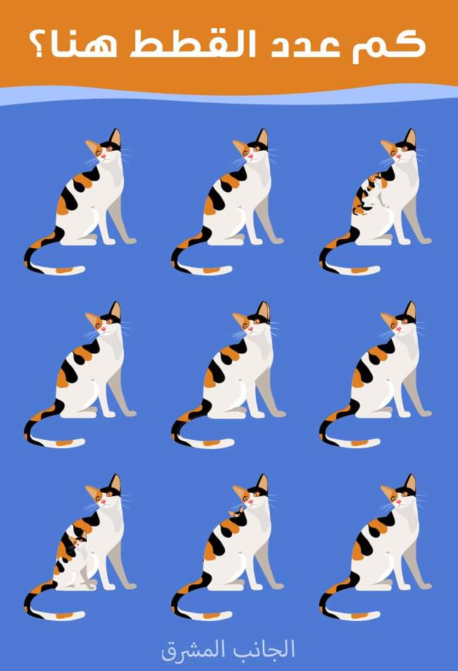 نقره لعرض الصورة في صفحة مستقلة