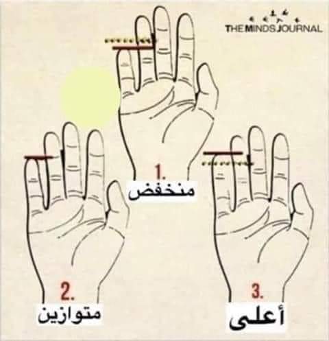 نقره لعرض الصورة في صفحة مستقلة