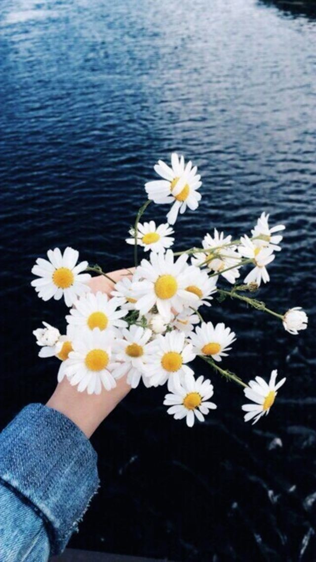 ���� ���� ������ �� ���� ������