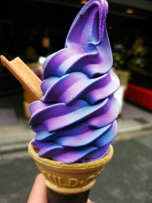 ���� ���� ������ �� ���� ������