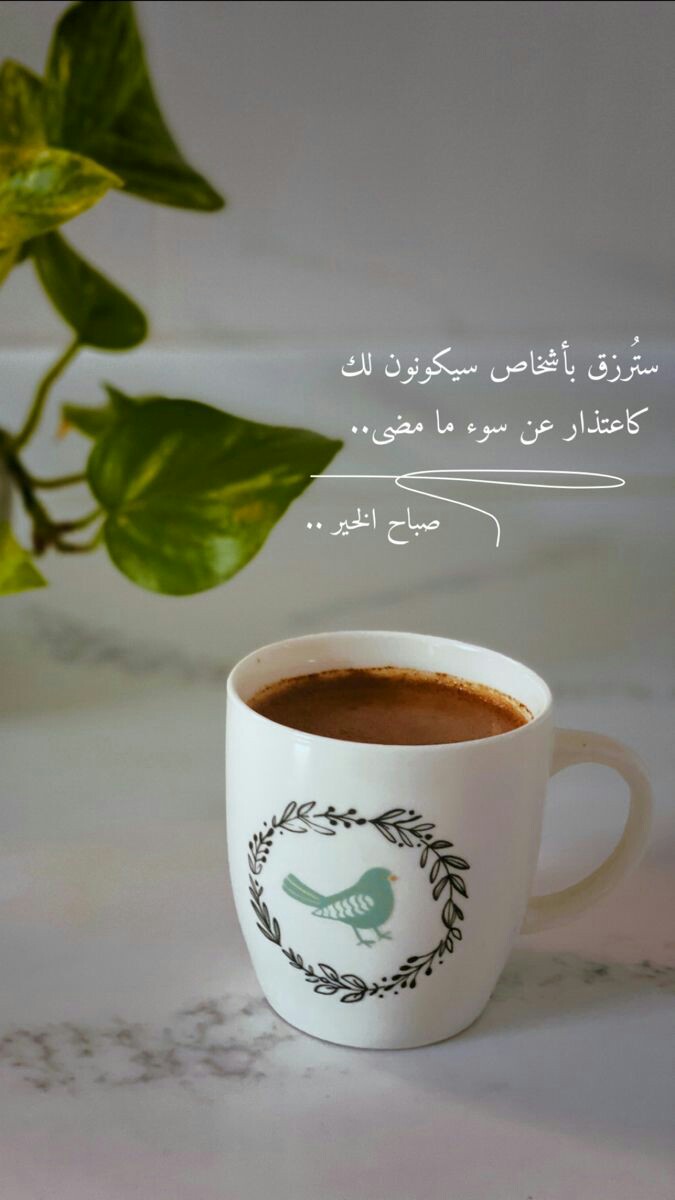 ���� ���� ������ �� ���� ������