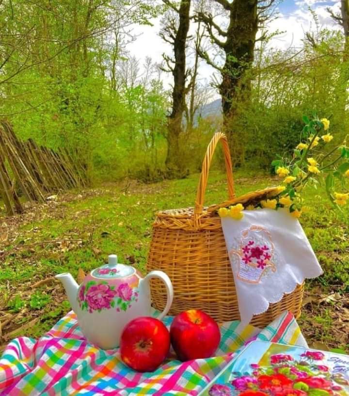 ���� ���� ������ �� ���� ������