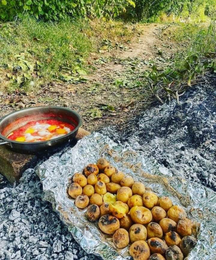 ���� ���� ������ �� ���� ������