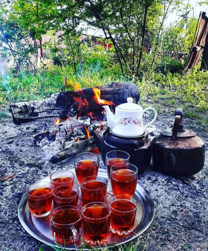 ���� ���� ������ �� ���� ������