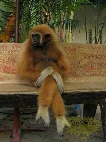 ���� ���� ������ �� ���� ������