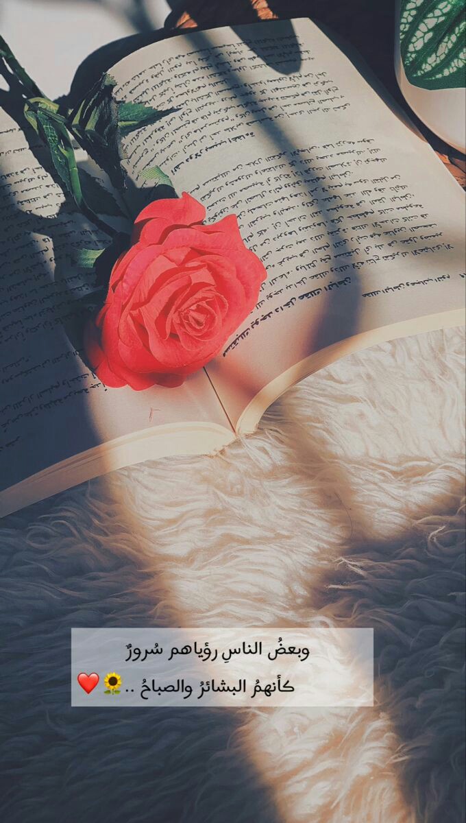 ���� ���� ������ �� ���� ������