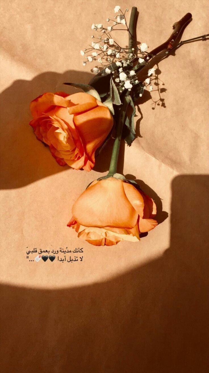 ���� ���� ������ �� ���� ������