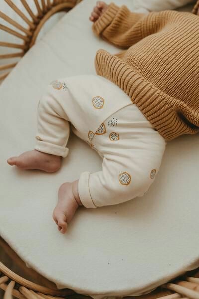 ���� ���� ������ �� ���� ������