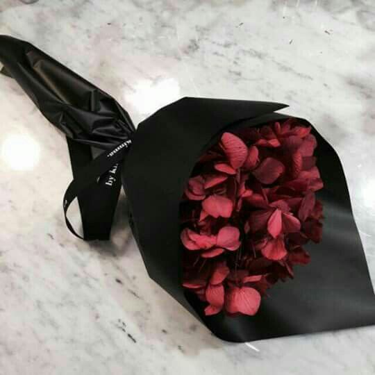 ���� ���� ������ �� ���� ������