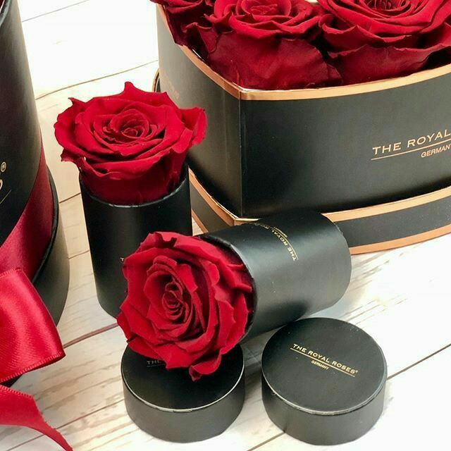 ���� ���� ������ �� ���� ������