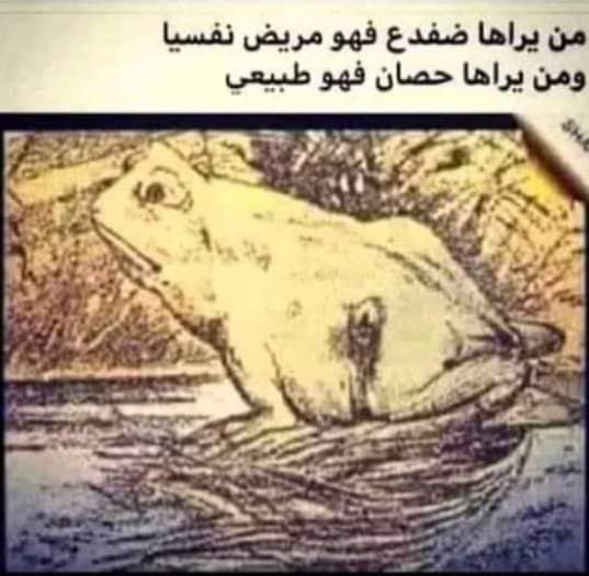 ���� ���� ������ �� ���� ������