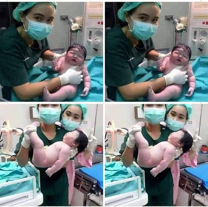 نقره لعرض الصورة في صفحة مستقلة