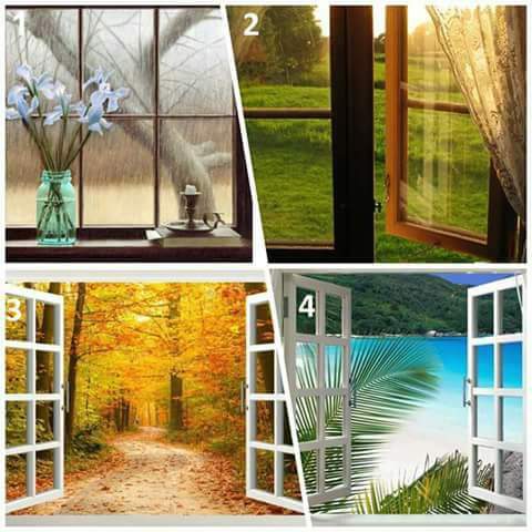 نقره لعرض الصورة في صفحة مستقلة