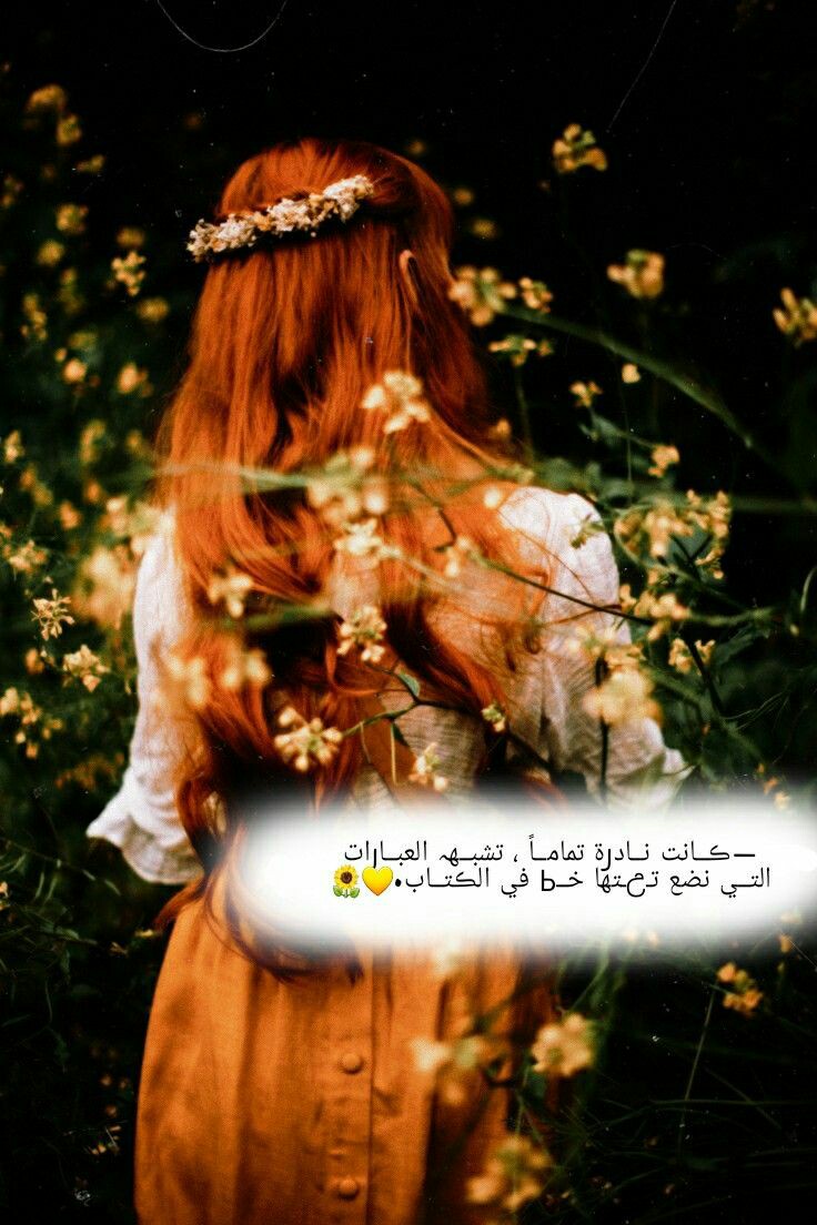 ���� ���� ������ �� ���� ������