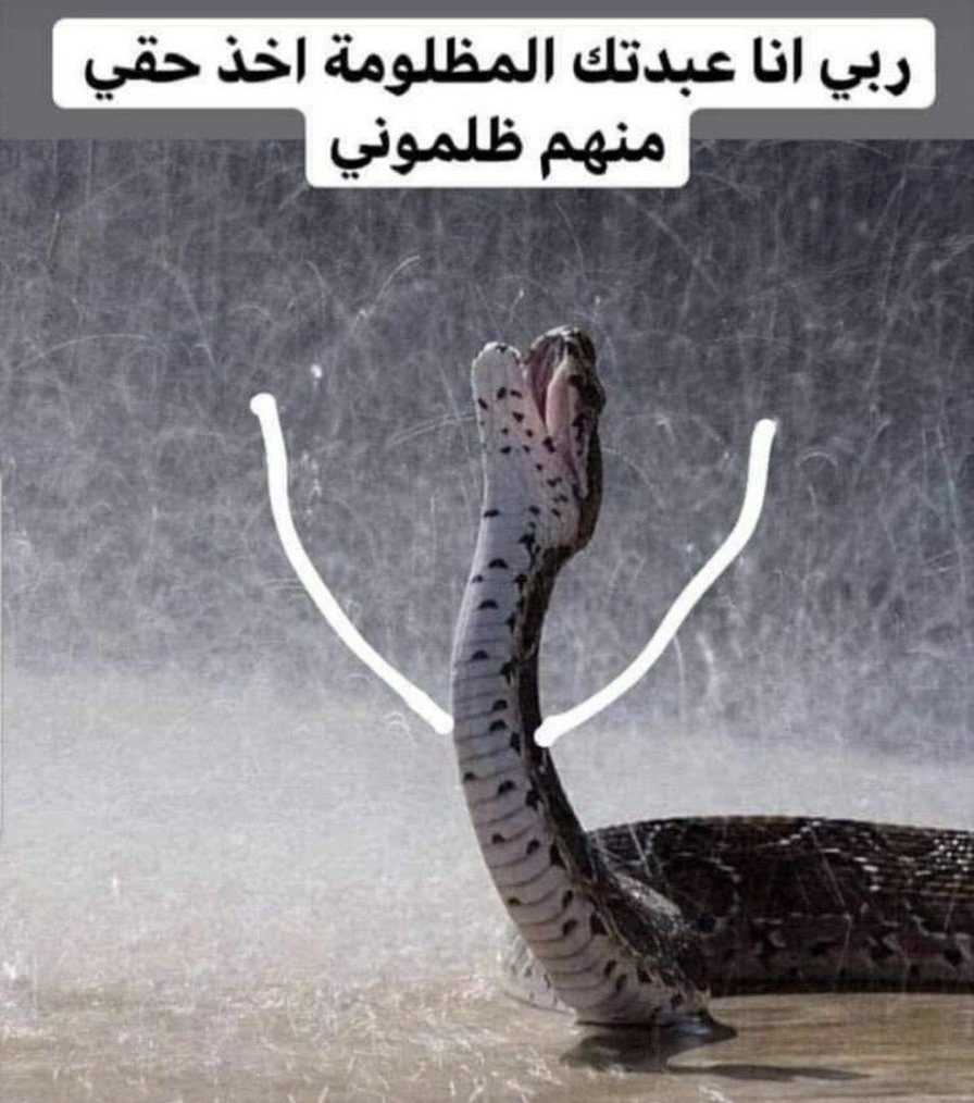 ���� ���� ������ �� ���� ������