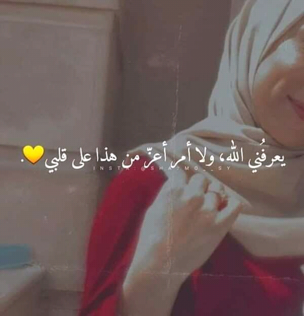 ���� ���� ������ �� ���� ������