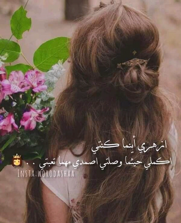 ���� ���� ������ �� ���� ������