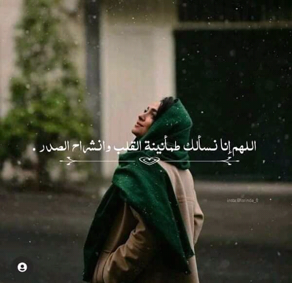 ���� ���� ������ �� ���� ������