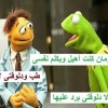 ecffa8c7e9e4d247f8146 ... .jpg